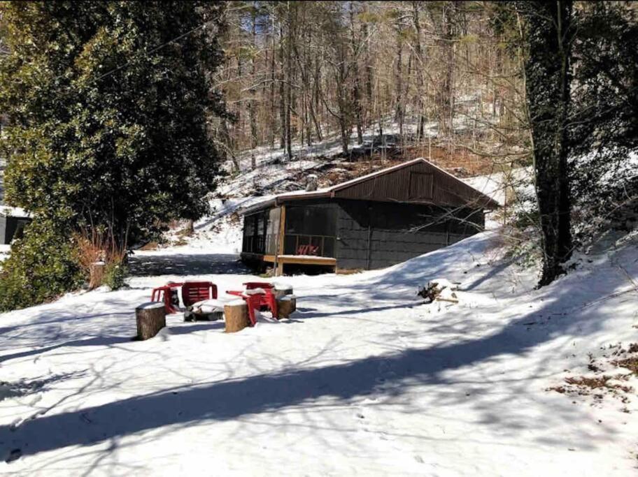 Cabin At The Cove At Watauga Lake Butler المظهر الخارجي الصورة